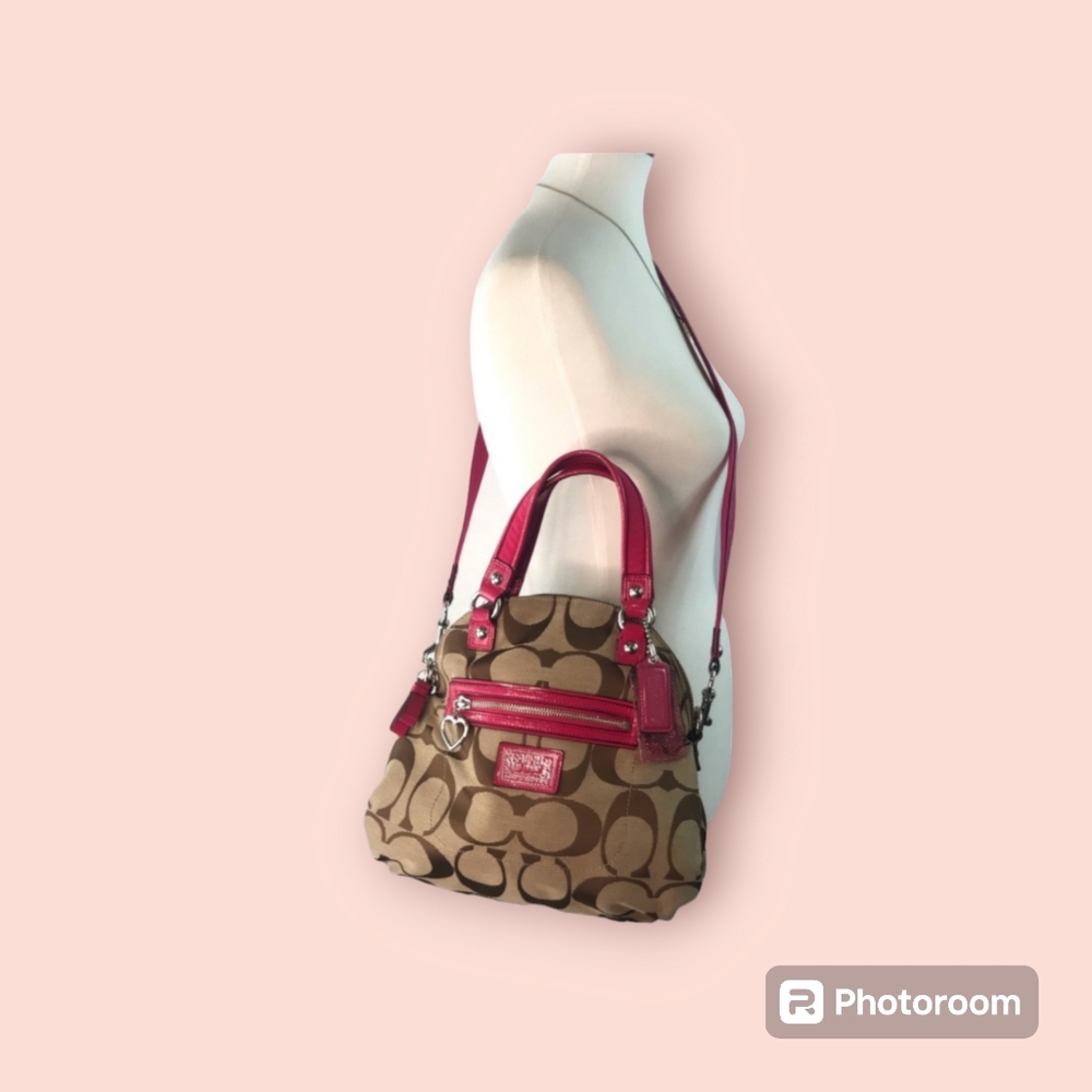 Coach Daisy Poppy Crossbody Bag